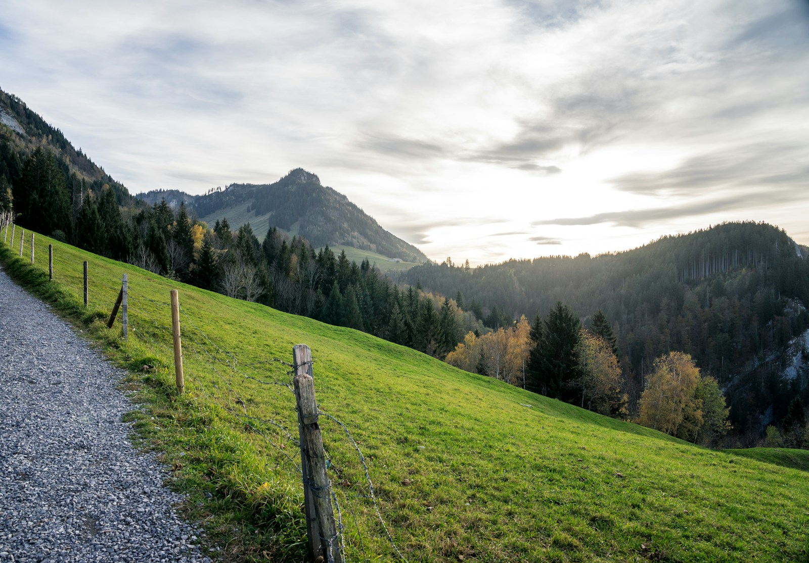 Wanderung Weg Psychologiegespräch